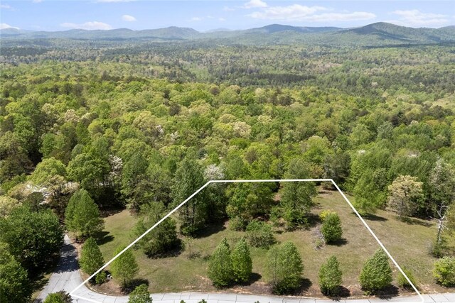 002 Lenore B Ln, Mountain Rest, SC 29664 - photo 5
