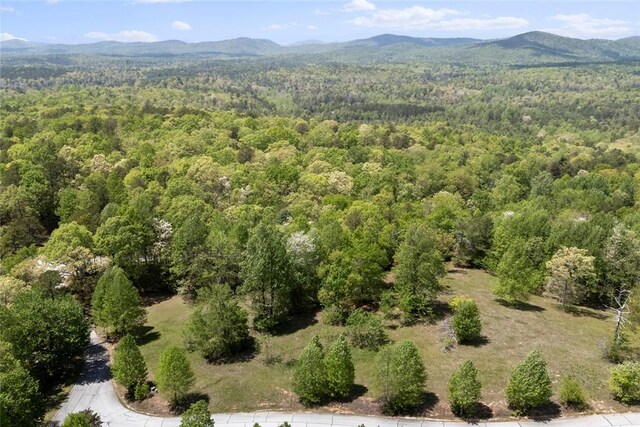 002 Lenore B Ln, Mountain Rest, SC 29664 - photo 6