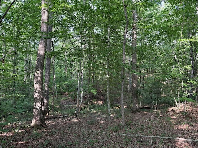 0 Lakeside Dr, Six Mile, SC 29682