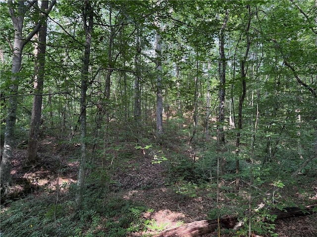 0 Lakeside Dr, Six Mile, SC 29682