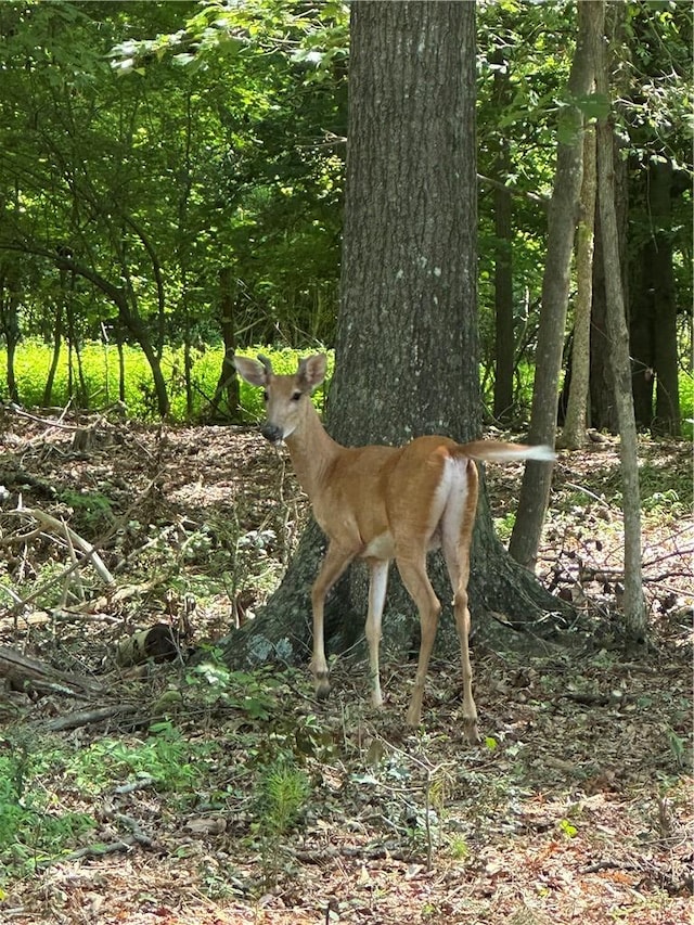 LOT23 Fisher Rd, Anderson, SC 29625