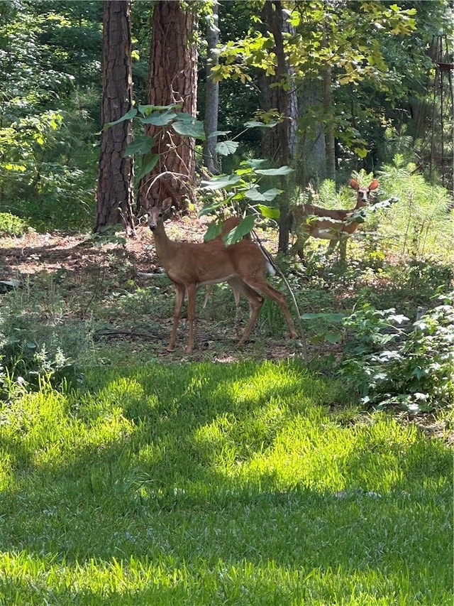 LOT23 Fisher Rd, Anderson, SC 29625