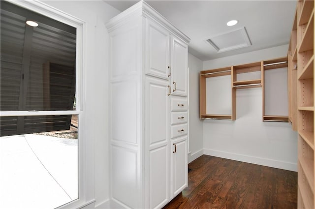 36 Mizzen Ln, Salem, SC 29676 - walk in closet with attic access and dark wood-style floors