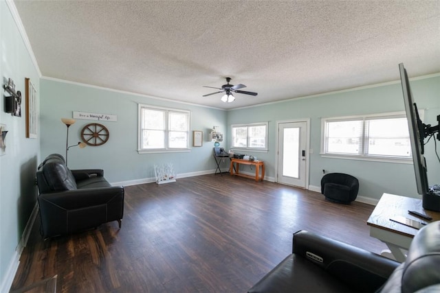 208 Springview Dr, Anderson, SC 29625 - living room with crown molding, ceiling fan, a textured ceiling, and dark wood-style flooring