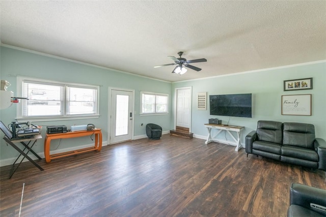 208 Springview Dr, Anderson, SC 29625 - living area featuring ornamental molding, wood finished floors, ceiling fan, and a textured ceiling