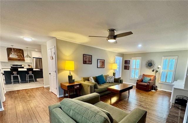 203 Catawbah Rd, Clemson, SC 29631 - living area featuring light wood finished floors, ceiling fan, and crown molding