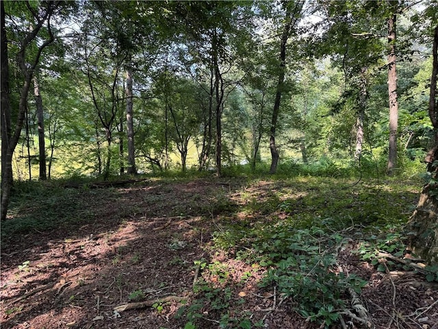 LOT26 Arrowhead Lake Trl, Westminster, SC 29693 - photo 2