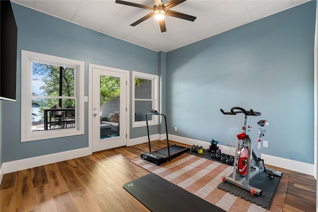 223 Inlet Pointe Dr, Anderson, SC 29625 - workout area with ceiling fan and wood finished floors