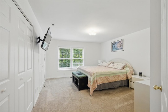 101 Jocassee Falls Rd, Salem, SC 29676 - bedroom with light colored carpet and a closet