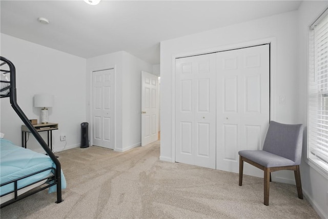 101 Jocassee Falls Rd, Salem, SC 29676 - bedroom featuring light carpet and a closet