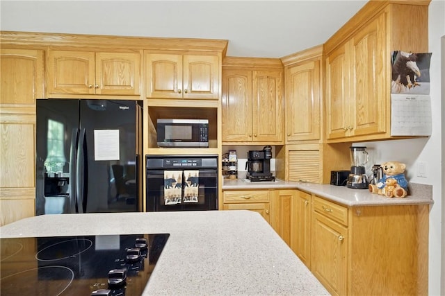 101 Jocassee Falls Rd, Salem, SC 29676 - kitchen with black appliances and light brown cabinetry