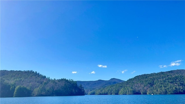 101 Jocassee Falls Rd, Salem, SC 29676 - water view with a heavily wooded area and a mountain backdrop