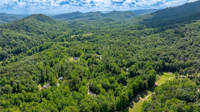 128 Willys Creek Cir, Pickens, SC 29671 - aerial view of a mountainous background