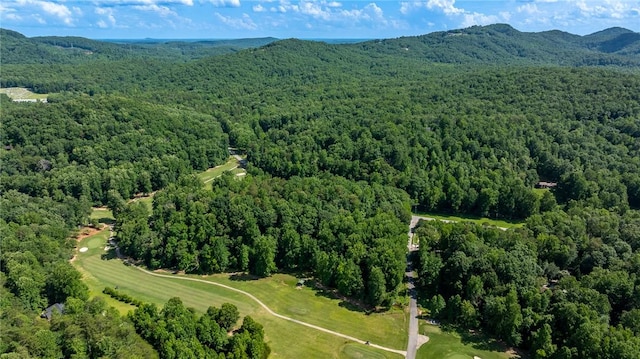 128 Willys Creek Cir, Pickens, SC 29671 - aerial view of property and surrounding area featuring a forest and a mountainous background