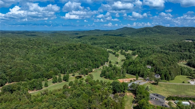 128 Willys Creek Cir, Pickens, SC 29671 - bird's eye view of a heavily wooded area