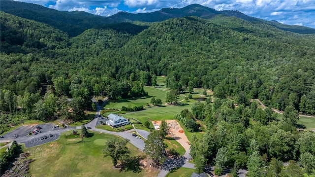 128 Willys Creek Cir, Pickens, SC 29671 - view of property location with a heavily wooded area and a mountain backdrop