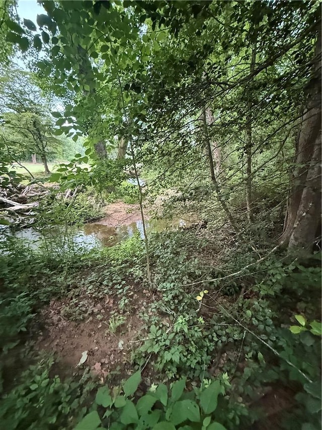 128 Willys Creek Cir, Pickens, SC 29671 - view of nature