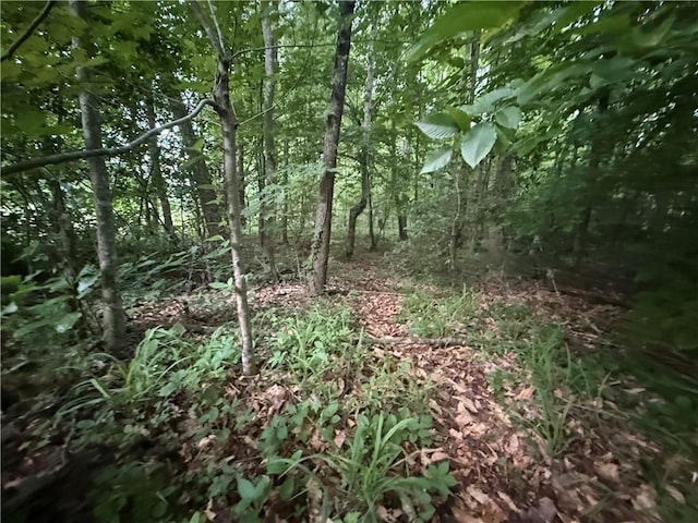 128 Willys Creek Cir, Pickens, SC 29671 - view of local wilderness