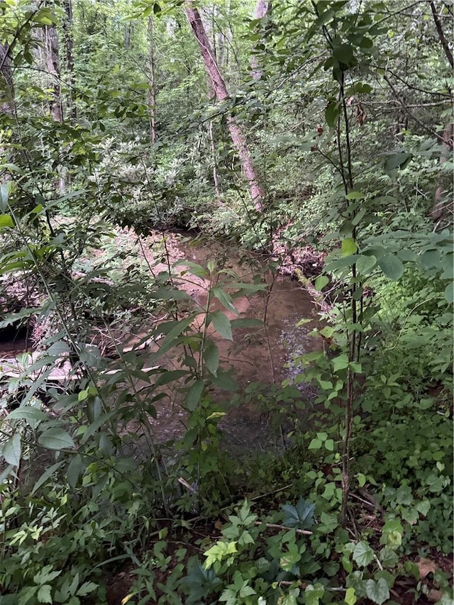 128 Willys Creek Cir, Pickens, SC 29671 - view of nature