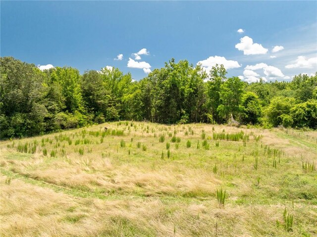955 Bramlett Rd, Laurens, SC 29360
