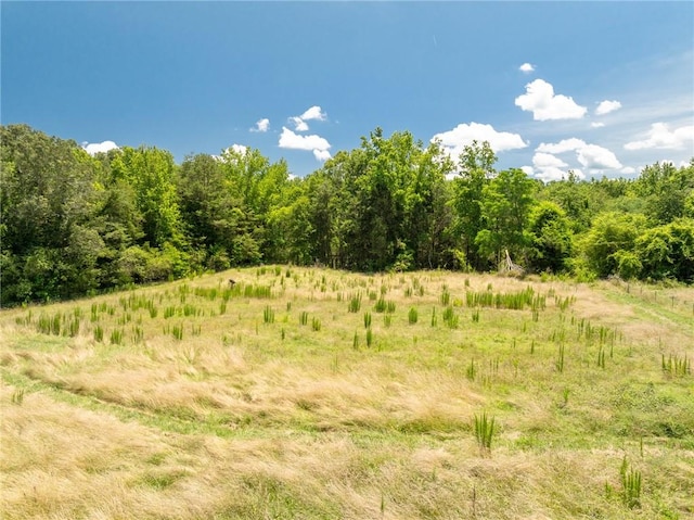 955 Bramlett Rd, Laurens, SC 29360 - photo 36