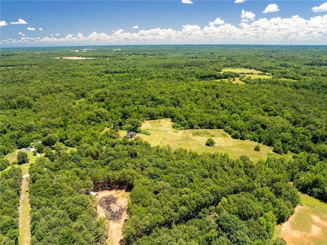 955 Bramlett Rd, Laurens, SC 29360 - photo 39