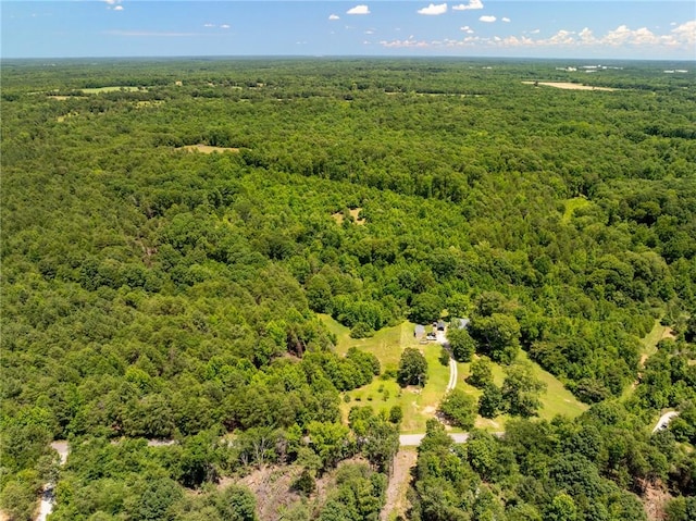 955 Bramlett Rd, Laurens, SC 29360 - photo 40