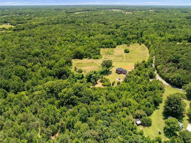 955 Bramlett Rd, Laurens, SC 29360 - photo 43