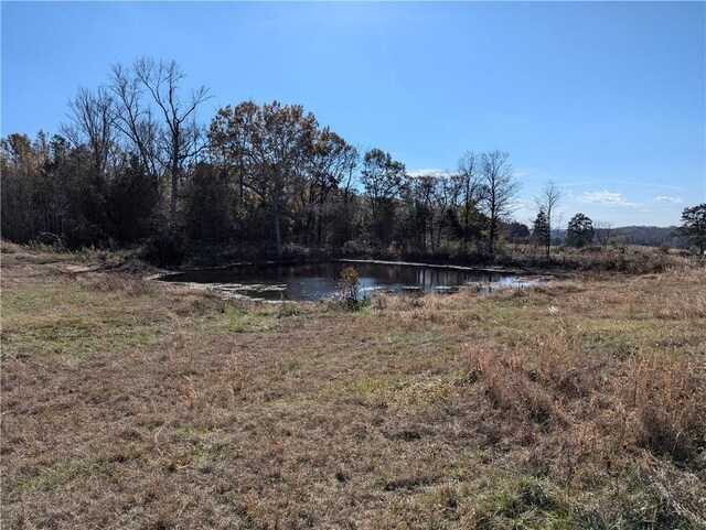113 Honicutt Rd, Donalds, SC 29638 - photo 1