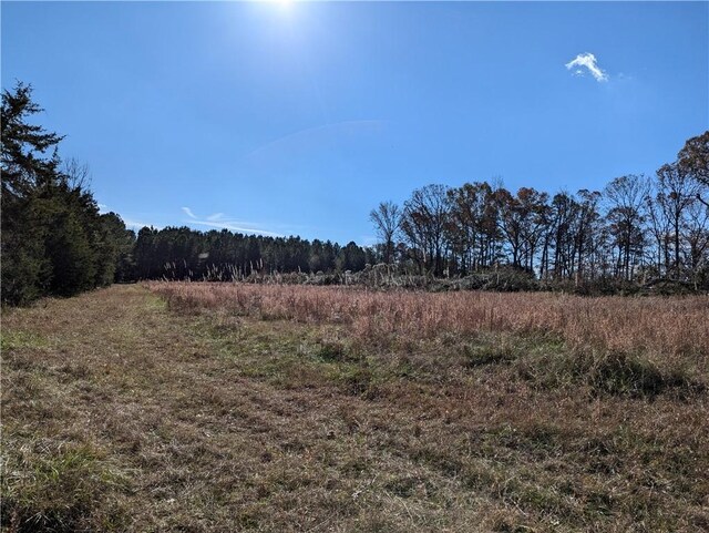 113 Honicutt Rd, Donalds, SC 29638 - photo 2