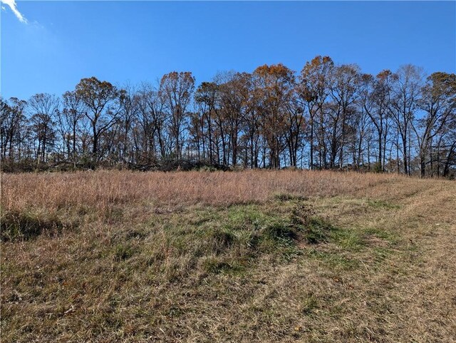 113 Honicutt Rd, Donalds, SC 29638 - photo 3