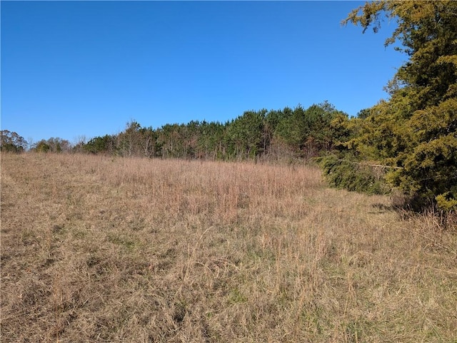 113 Honicutt Rd, Donalds, SC 29638 - photo 4