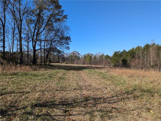 113 Honicutt Rd, Donalds, SC 29638 - photo 5