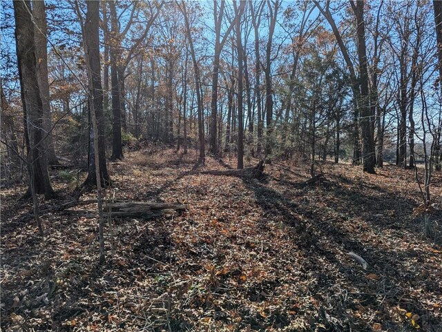 113 Honicutt Rd, Donalds, SC 29638 - photo 6