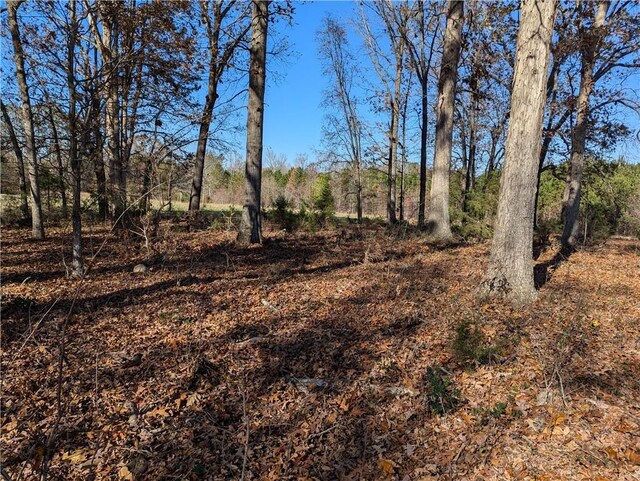 113 Honicutt Rd, Donalds, SC 29638 - photo 7