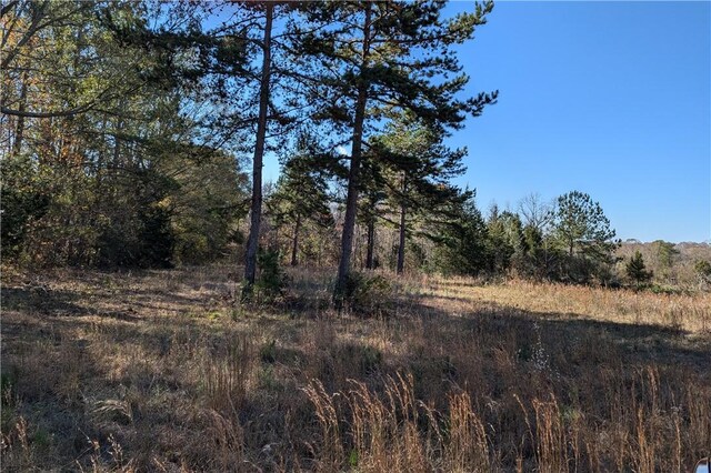 113 Honicutt Rd, Donalds, SC 29638 - photo 9