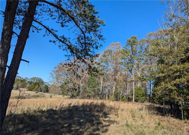 113 Honicutt Rd, Donalds, SC 29638 - photo 10