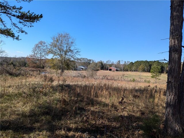 113 Honicutt Rd, Donalds, SC 29638 - photo 11