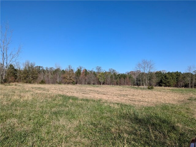 113 Honicutt Rd, Donalds, SC 29638 - photo 12