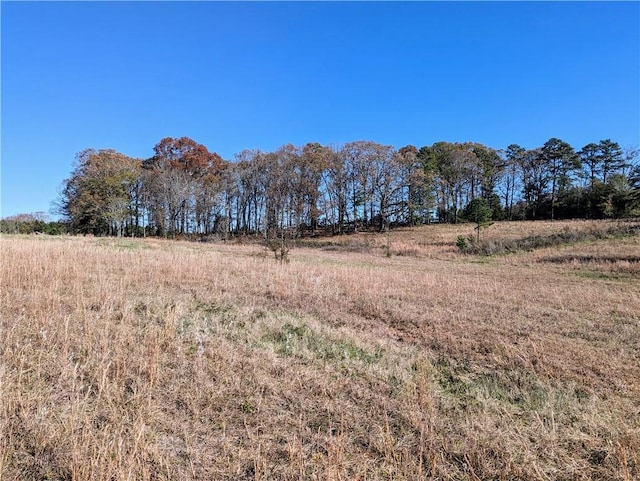 113 Honicutt Rd, Donalds, SC 29638 - photo 13