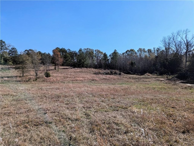 113 Honicutt Rd, Donalds, SC 29638 - photo 14
