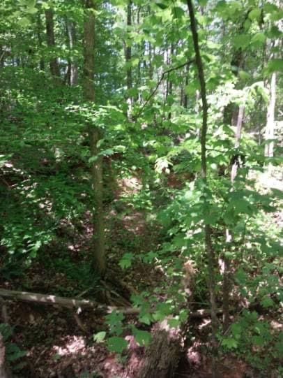 846 Latimer Mill Rd, Honea Path, SC 29654