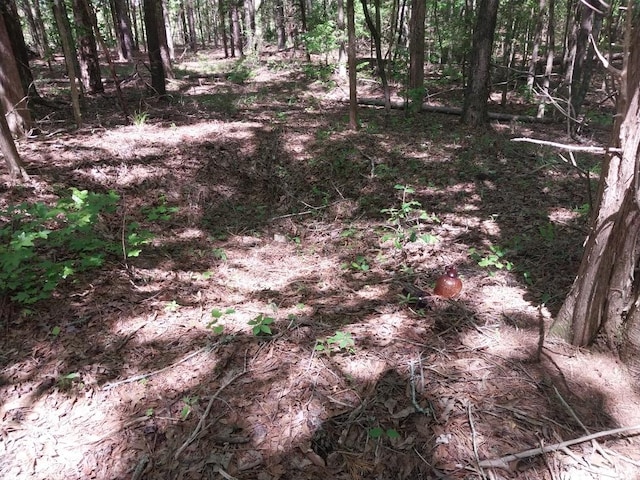 846 Latimer Mill Rd, Honea Path, SC 29654