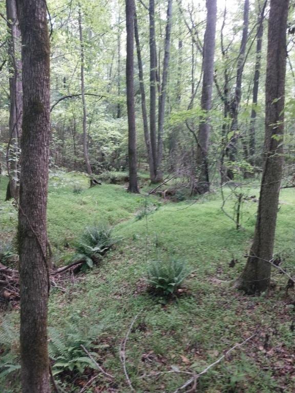 846 Latimer Mill Rd, Honea Path, SC 29654