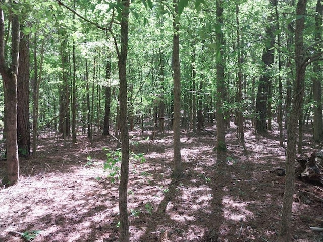 846 Latimer Mill Rd, Honea Path, SC 29654