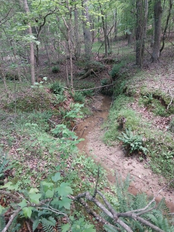 846 Latimer Mill Rd, Honea Path, SC 29654