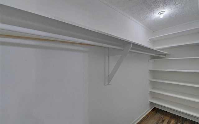 37 Cunningham Dr, Hartwell, GA 30643 - walk in closet with dark wood-style flooring