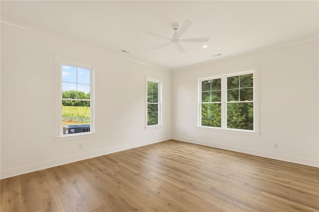 331 Dobbins Rd, Townville, SC 29689 - photo 18