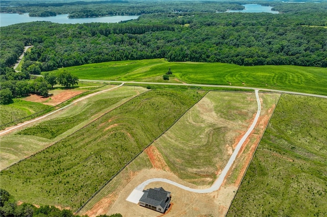331 Dobbins Rd, Townville, SC 29689 - photo 34