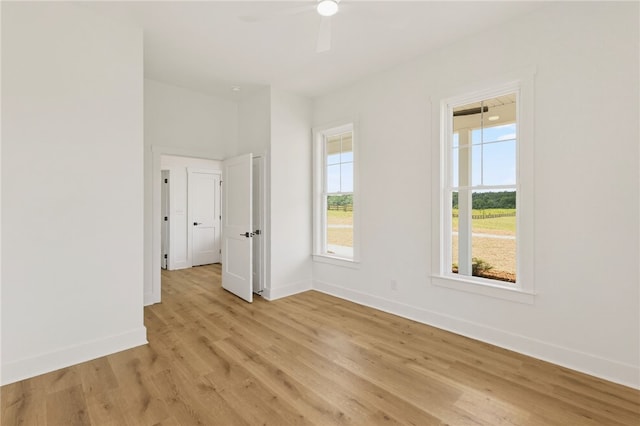 331 Dobbins Rd, Townville, SC 29689 - photo 3